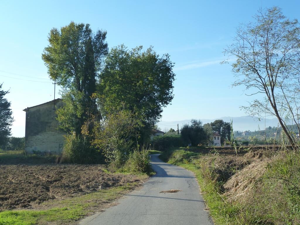 Gasthaus Al Vecchio Leccio Pistoia Exterior foto
